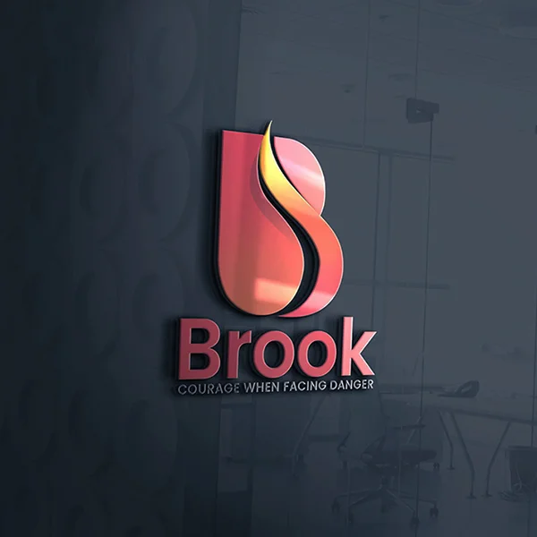 Brook logo design by DotFix Technologies