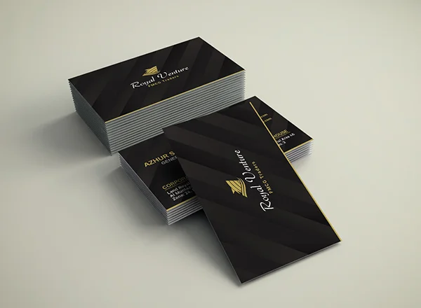 Royal Venture business card design by DotFix Technologies